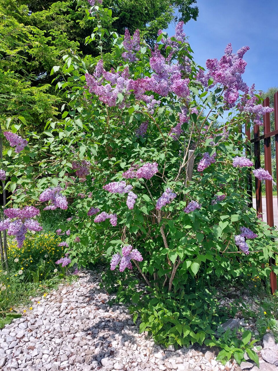 Гостиница Куршавель Байкальск-58